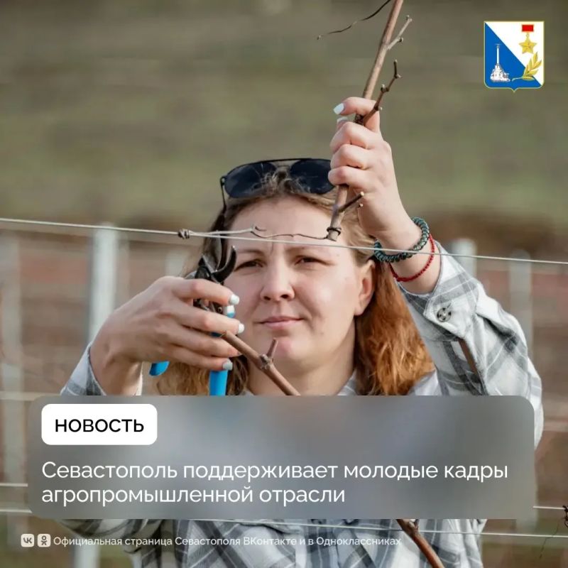Молодые специалисты АПК Севастополя получат до 250 тысяч рублей единовременной выплаты