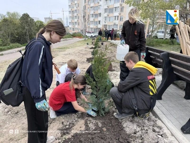 Ветераны и школьники высадили почти 100 деревьев и кустарников на улице Молодых строителей Ветераны и школьники высадили почти 100 деревьев и кустарников на улице Молодых строителей