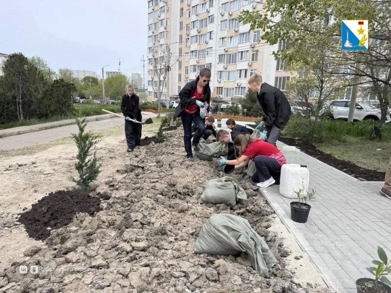Ветераны и школьники высадили почти 100 деревьев и кустарников на улице Молодых строителей Ветераны и школьники высадили почти 100 деревьев и кустарников на улице Молодых строителей