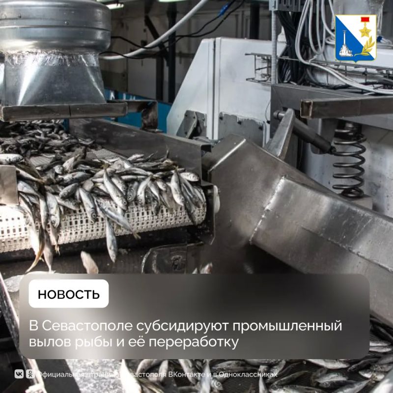 Промышленное рыболовство и рыбопереработку в Севастополе поддерживают субсидиями
