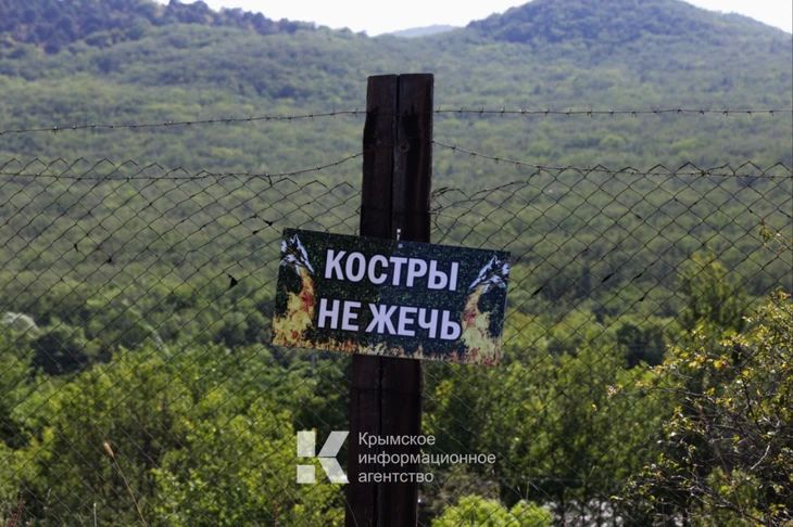 Каждую весну — один и тот же сценарий: кто-то поджигает сухую траву, а через несколько дней горят уже дома и дачи