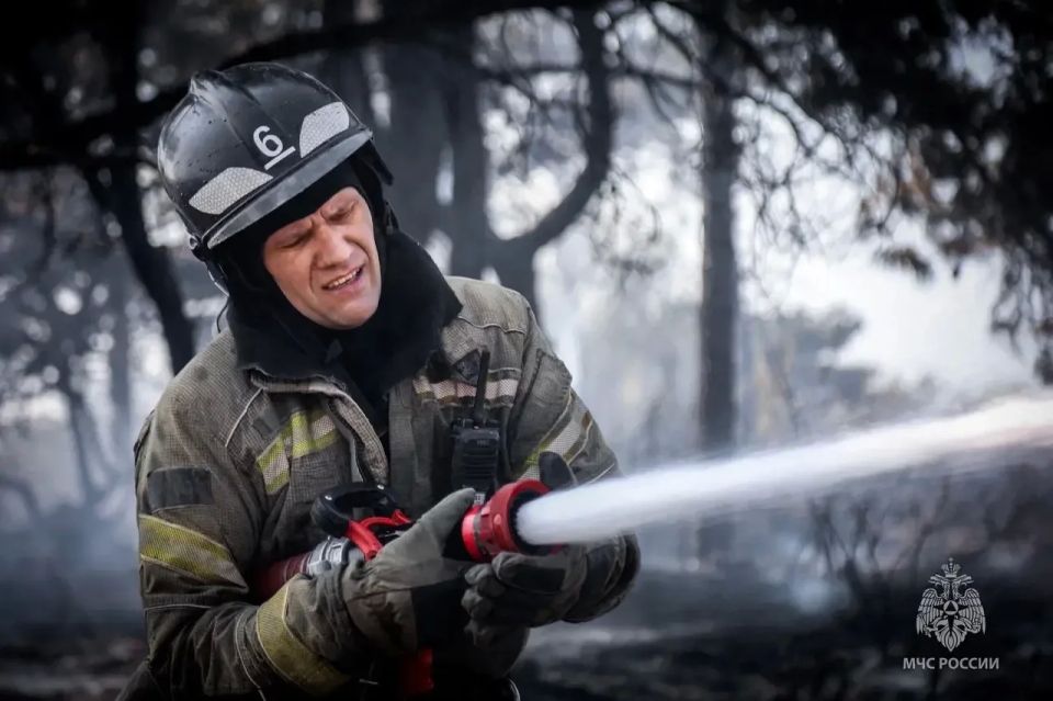 Михаил Развожаев: 30 апреля в России — День пожарной охраны Михаил Развожаев: 30 апреля в России — День пожарной охраны
