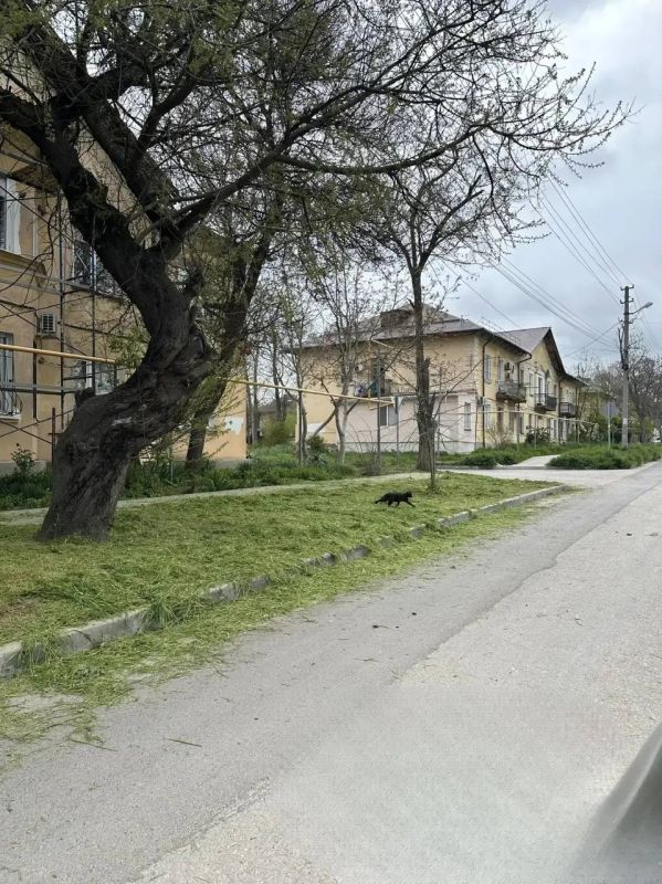 В Керчи продолжаются плановые и внеплановые ремонты в многоквартирных домах В Керчи продолжаются плановые и внеплановые ремонты в многоквартирных домах