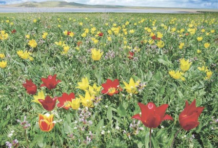 ��������� ����� ��������� � ��������� ������������ ���� ���������� ��������� ������������ ����� �� ������� ����� ������