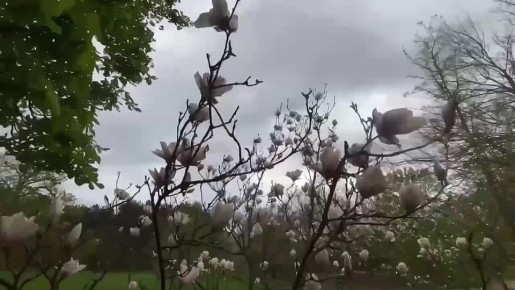 ������ 4 ���:. ������� � ������������