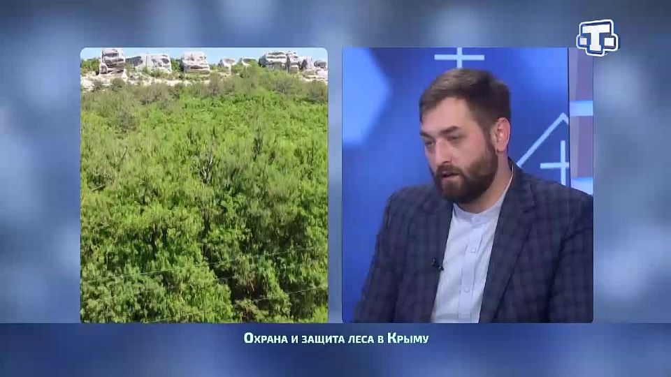 Республика Крым усиливает меры по охране и защите лесных территорий