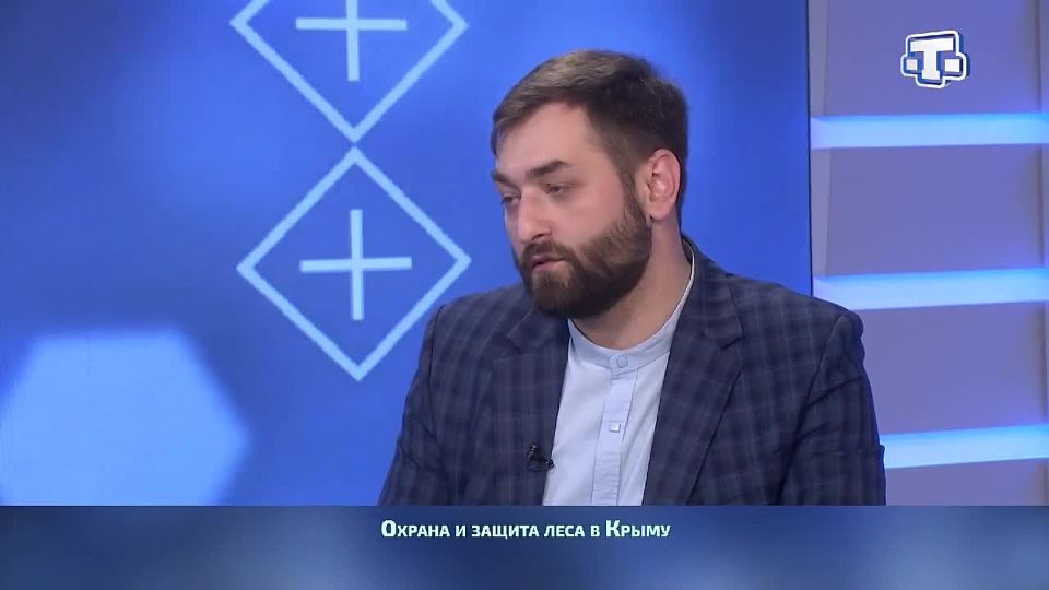 В Крыму анализируют климатические изменения для предотвращения лесных пожаров