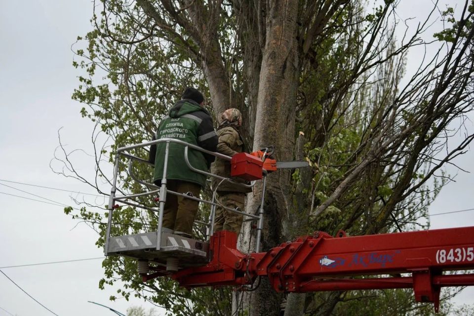 В Керчи рухнули деревья из-за сильного ветра В Керчи рухнули деревья из-за сильного ветра