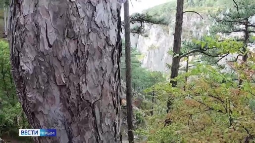 ��� ����� ������� �������� ����� � �����?