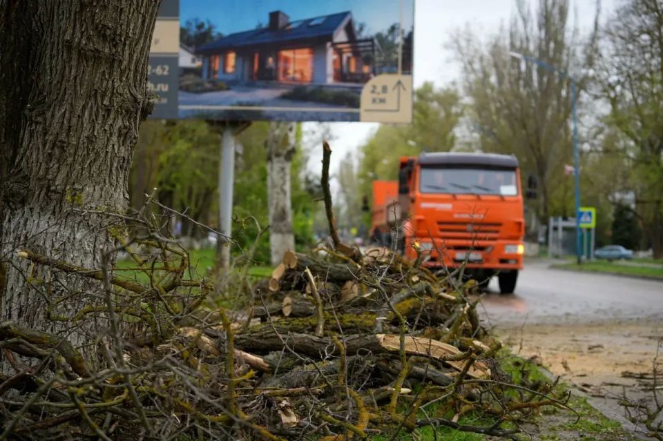 Штормовой ветер повалил деревья в Керчи Штормовой ветер повалил деревья в Керчи