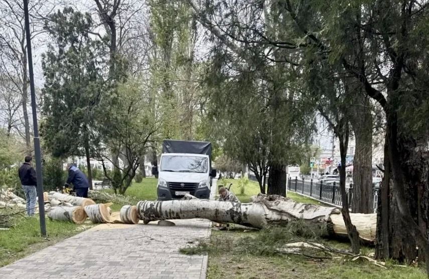 Работники учреждения «Парки столицы» ликвидируют последствия непогоды Работники учреждения «Парки столицы» ликвидируют последствия непогоды