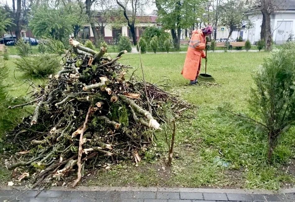 Работники учреждения «Парки столицы» ликвидируют последствия непогоды Работники учреждения «Парки столицы» ликвидируют последствия непогоды