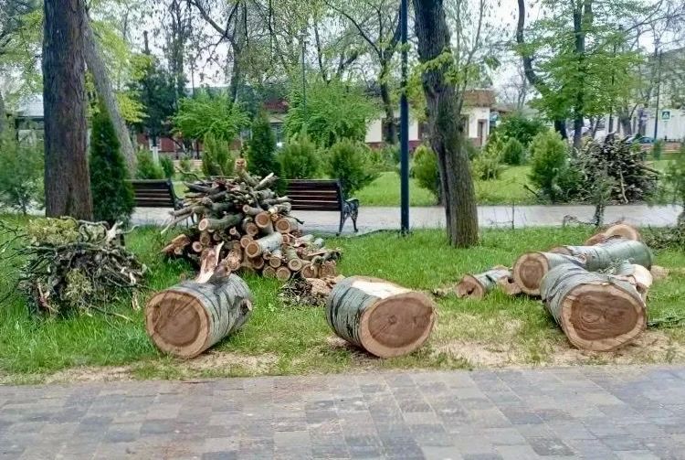 Работники учреждения «Парки столицы» ликвидируют последствия непогоды Работники учреждения «Парки столицы» ликвидируют последствия непогоды