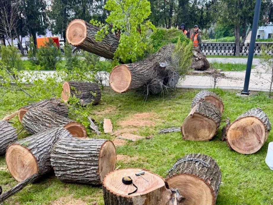 В парках Симферополя устраняют последствия непогоды