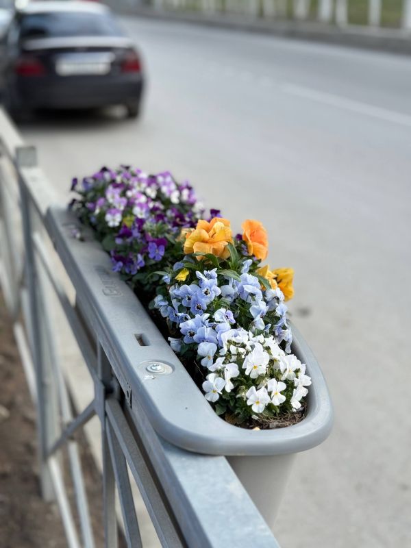 Кирилл Чебышев: Дорогие жители и гости города Судака! Кирилл Чебышев: Дорогие жители и гости города Судака!