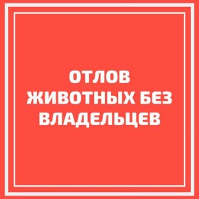 ��������� ������ � ����� ������ ��������!