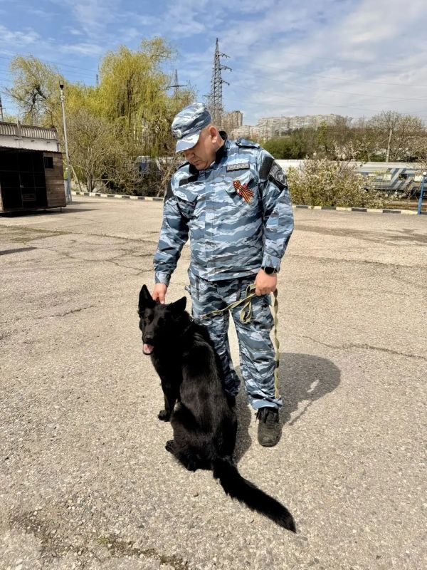 Студенты Крымского филиала Университета правосудия им. В.М. Лебедева познакомились с кинологической службой Студенты Крымского филиала Университета правосудия им. В.М. Лебедева познакомились с кинологической службой
