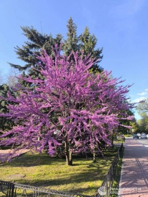 � ���� ����� ���������� ������������ ��������� ������ ������� � �����������