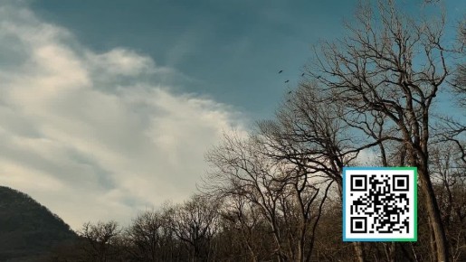 ������������� ������-����������� �� ������ �������� ��������������� - 2026 ���������� � 21 ������ �� 12 ����