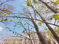 ������ ���������: ������� ���� �� ����� ������, ������� �� �������� � ������� ����, ��������� ������ ��������