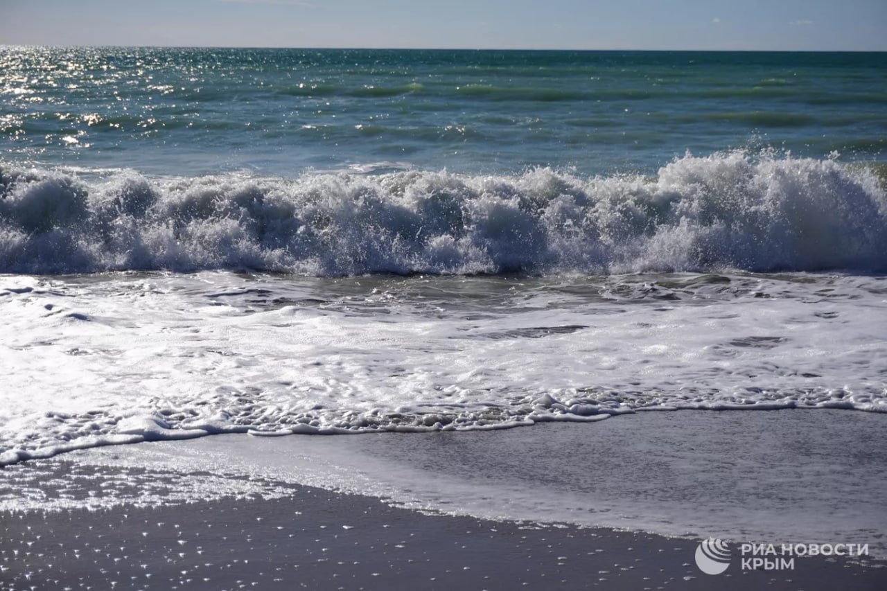 В пробах морской воды у берегов Крыма не выявили отклонений