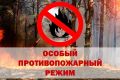 ������������� ��������������� ������ ���������� ���� ����������� � ���, ��� � 1 ������ 2026 ���� �� ���������� ���������� ���� ������ ������ ��������������� �����