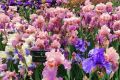 � ��������� ������� ������� �������� ������: ���������� ����������� � ������ � ��������� ����� ������
