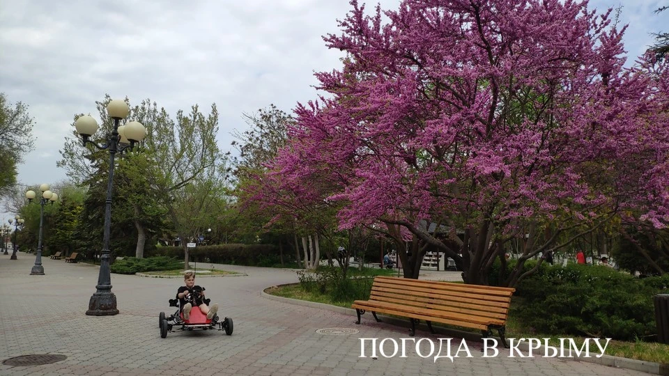 Доброе утро!. Рассказываем, какой будет погода на полуострове 14 мая