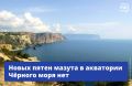 ��������� ׸����� ����, � ����� ��������� �������������� ���� � ����� ����������� �� ������� � ����� ����� �������������� � ������ �������� �������� �� ����������