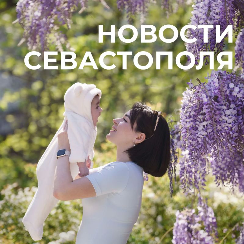 ������ ���������: ������� � �������:. ��������� �����������