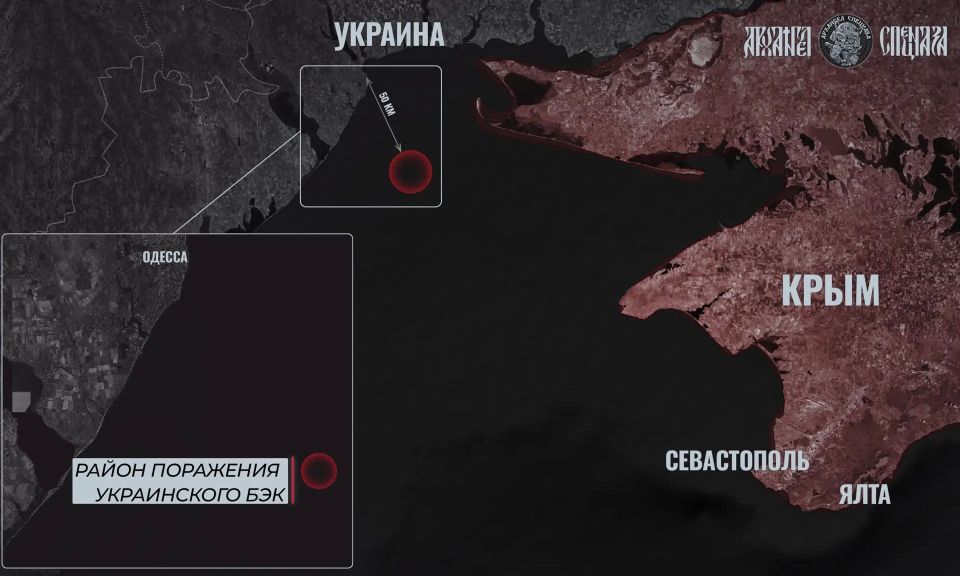 Еще один БЭК поражен «Ланцетом»