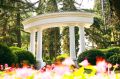 MORE SPA & RESORT ���� ����������� �������� ������� ��������������� ���������� ������� ���������� � 2026 ����, ��������������� ������������� �������� � ������� ���������� ����