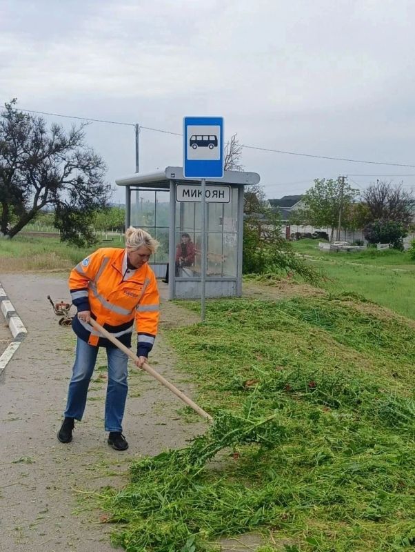 Трава у дороги растёт с такой скоростью, будто ей тоже поставили производственный план Трава у дороги растёт с такой скоростью, будто ей тоже поставили производственный план