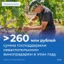 Михаил Развожаев: Севастопольские виноградари получили более 260 млн рублей господдержки