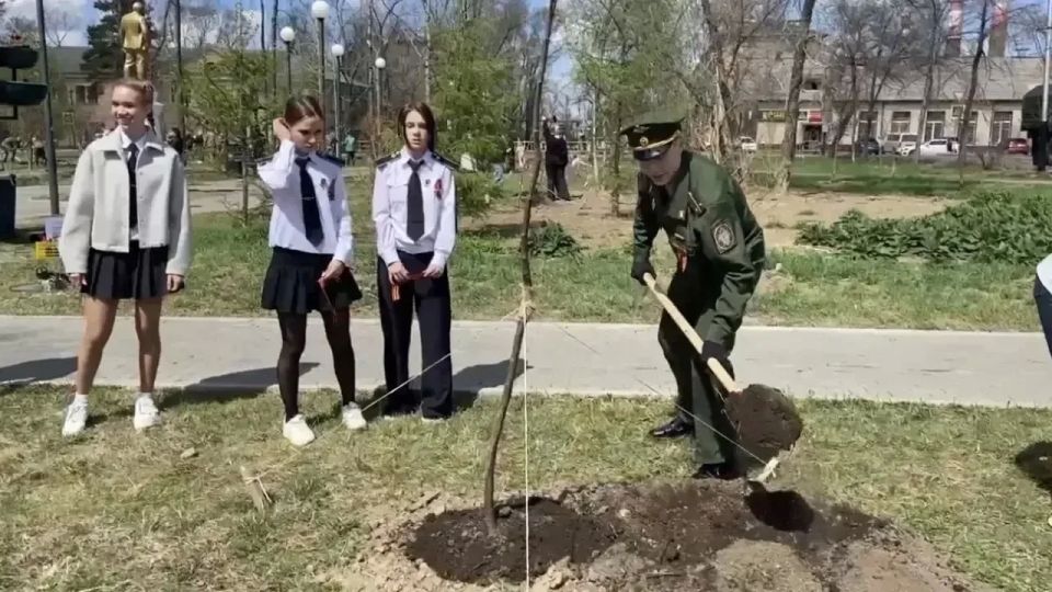 Сотрудники военных следственных органов Следственного комитета Российской Федерации приняли участие в экологической акции Сотрудники военных следственных органов Следственного комитета Российской Федерации приняли участие в экологической акции