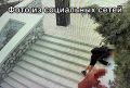 ���� ���������� ���������� ����������� ��������� � ��������� �����