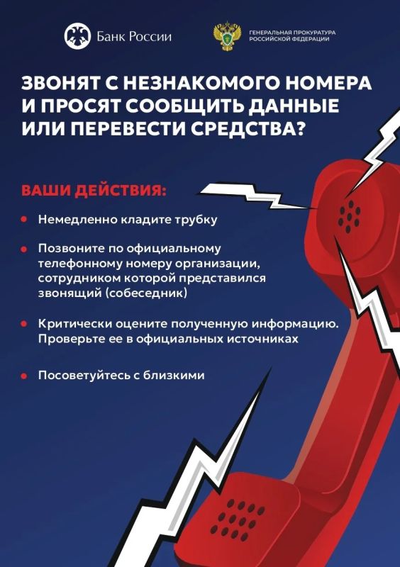 Немедленно клади трубку!. Это самый эффективный способ противостоять телефонным мошенникам и сохранить свои деньги