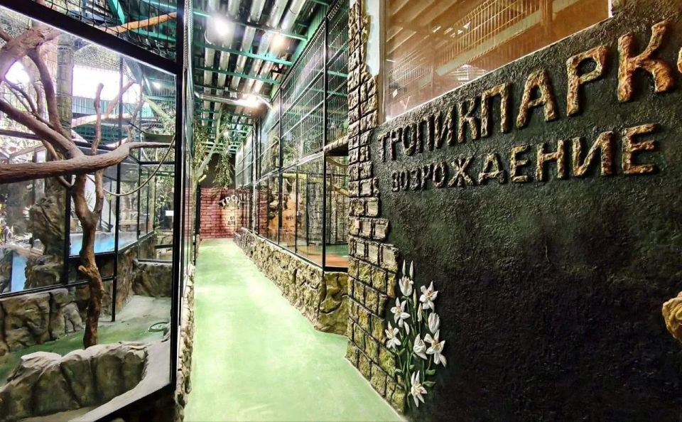 Восставший из пепла: евпаторийский «Тропикпарк», в котором заживо сгорели питомцы, готовят к открытию
