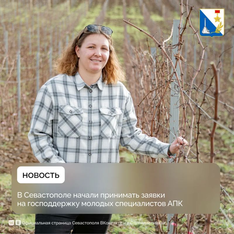 В Севастополе открыли приём заявок на поддержку для молодых специалистов АПК