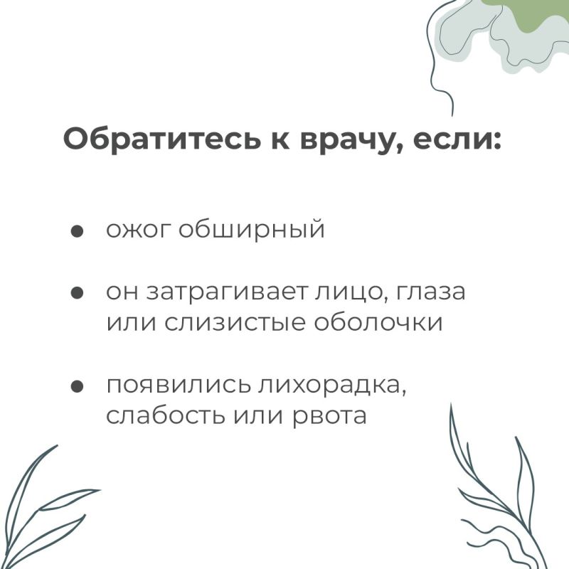 В Крыму зацвёл ясенец голостолбиковый, более известный как купина неопалимая — один из самых коварных ядовитых цветов В Крыму зацвёл ясенец голостолбиковый, более известный как купина неопалимая — один из самых коварных ядовитых цветов