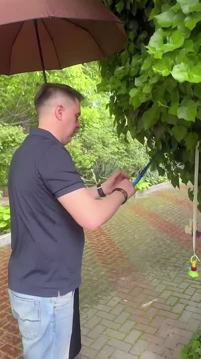 В Крыму сейчас проходит особенная неделя, посвященная самому главному – семье