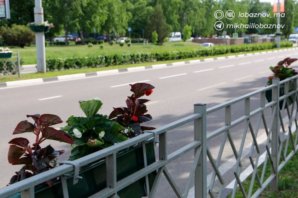 В Старом Осколе продолжаются работы по благоустройству и подготовке города к летнему сезону В Старом Осколе продолжаются работы по благоустройству и подготовке города к летнему сезону