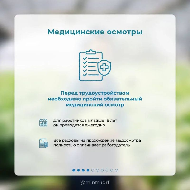 Антон Кравец: Летняя подработка для школьников и студентов: что нужно знать Антон Кравец: Летняя подработка для школьников и студентов: что нужно знать