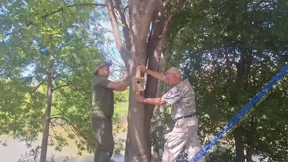 В Севастополе готовят синичники к следующему году