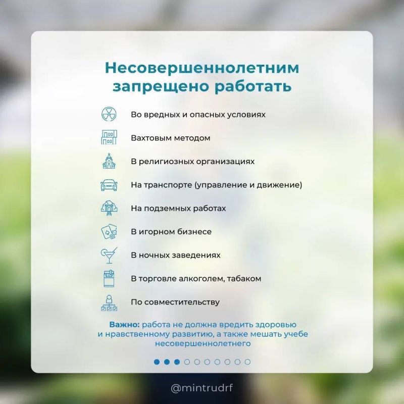 Антон Кравец: Летняя подработка для школьников и студентов: что нужно знать Антон Кравец: Летняя подработка для школьников и студентов: что нужно знать