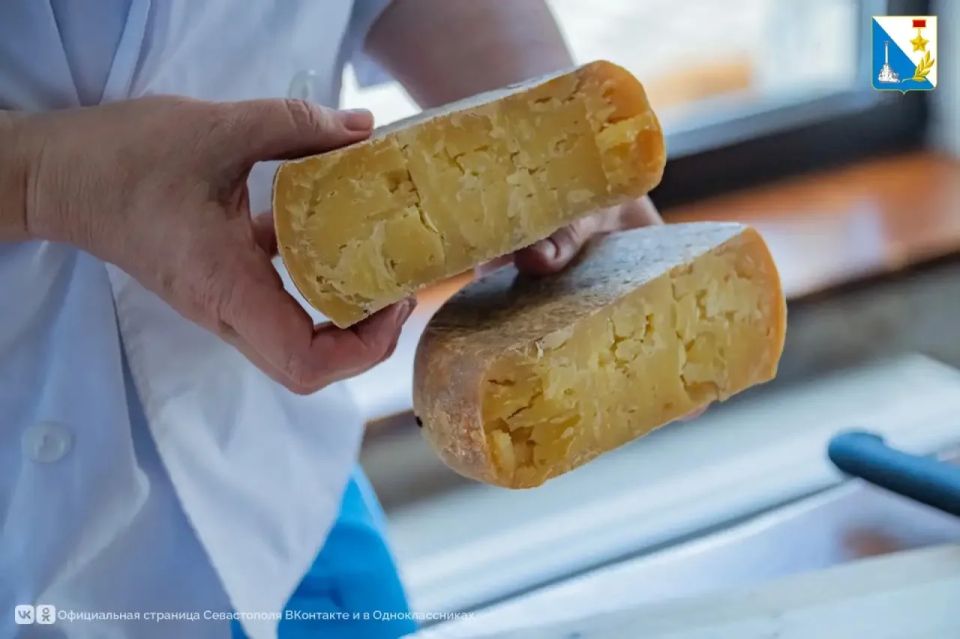 Семья из Севастополя создала винодельню нового формата при господдержке Семья из Севастополя создала винодельню нового формата при господдержке