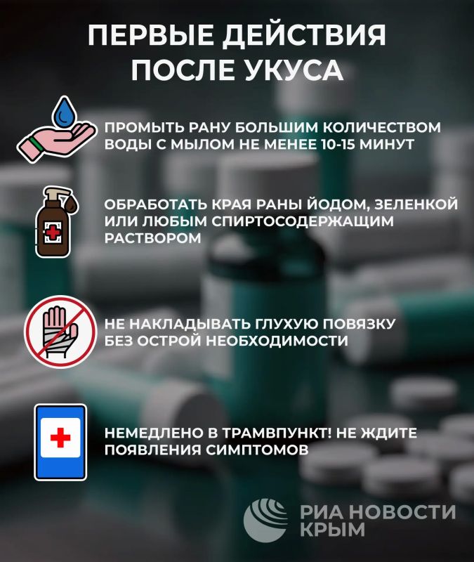 Что делать, если укусило дикое животное? Что делать, если укусило дикое животное?