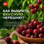 Как не ошибиться при покупке черешни?
