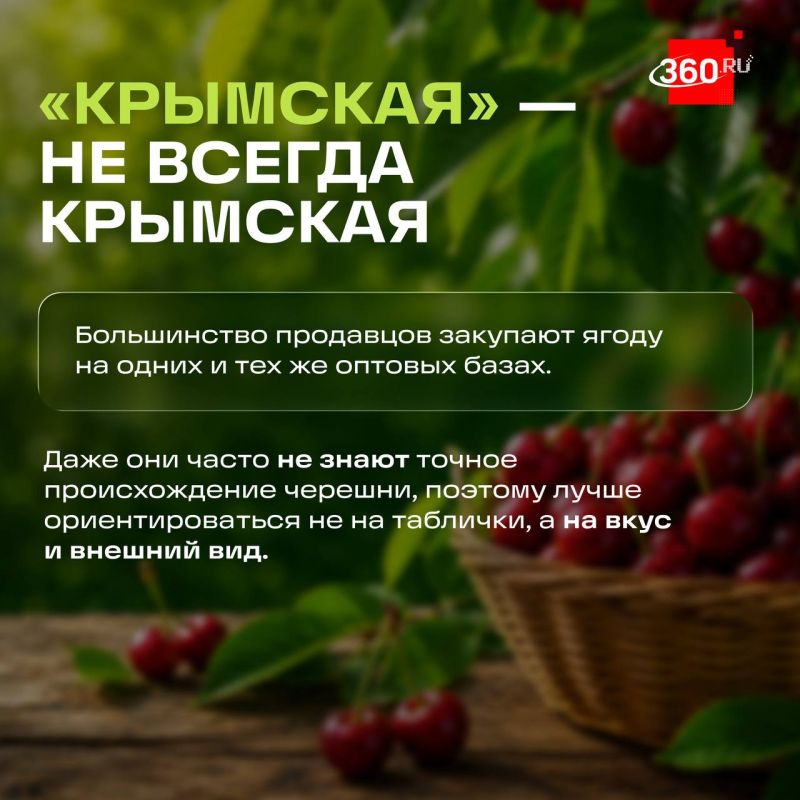 Как не ошибиться при покупке черешни? Как не ошибиться при покупке черешни?
