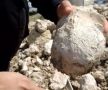 В Симферополе прямо во время прокладки водопровода нашли ископаемого наутилуса, который пролежал в земле 47 миллионов лет